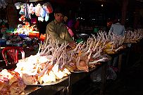 Sapa_010
