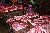 Sapa_011