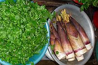 Sapa_013