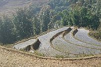 Sapa_020