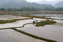 Ninh_Binh_015