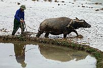 Ninh_Binh_016