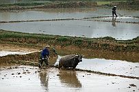 Ninh_Binh_017