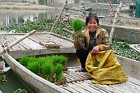 Ninh_Binh_036