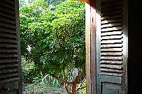 Mekong_039