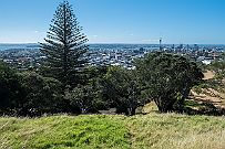 NZ -7284