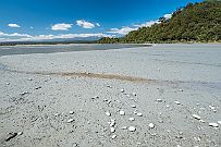 NZ -9435