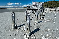 NZ -9438