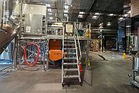 NZ -9679