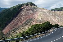 NZ -1056 Déforestation contrôlée.