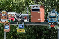 NZ -1157