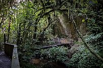 NZ -1615 Mangapohue, une sorte de grotte ouverte devant et derriere., ou un pont naturel (Bridge) sur la tête !