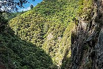 NZ rajout - DSCF3002