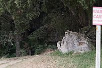 NZ -3700 Endroit magique (merci encore Simon). La grotte de Waipu c'est en pleine nature au bout d'un long chemin de gravier. Et une entrée libre.