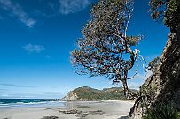 NZ -6041 On est donc descendu là après notre demi tour sur l'autre gravel trop exposée au danger (et sans avoir croisés âmes qui vivent). Bref, tu tombes en panne et...
