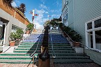 NZ -6798