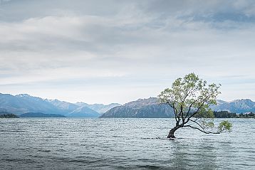 Wanaka - Ship Creek Glaciers Fox & Josef Franz