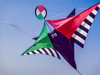 Diapos cerfs volants-1