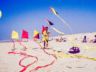 Diapos cerfs volants-3