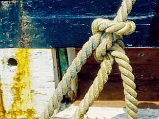 Diapos Arcachon-3