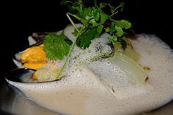 DSCF9928 Dorade royale (cuisson nacrée parfaite), emulsion de lait de coco au jus de moules, fenouil confit. Parfait