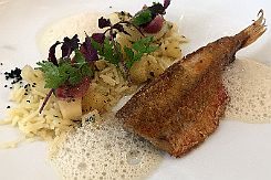 IMG_4918 Autre repas - Photos prises au portable (c'est moins bien !)