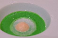 DSCF1612 Deuxième mise en bouche, un oeuf de caille vu la taille. Belle couleur, peu de saveur en fait. Mais c'est joli.