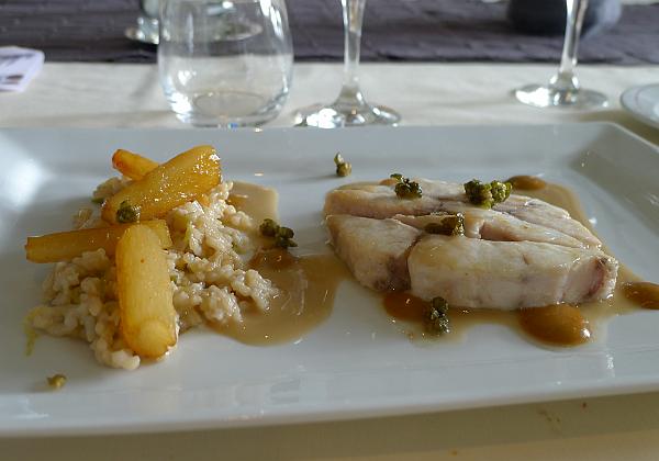 Maigre (poisson)