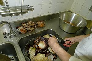 P1020609