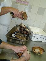 P1020610