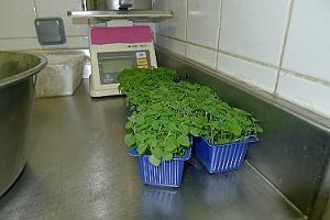 P1030015