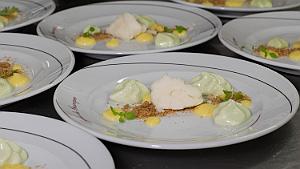 T.Morel - 05 - Citron Estragon 008 dresage en cours