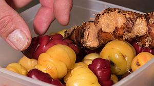 T.Morel - 01 - Mousseline Gambas 001 Fruit du OKA, acidulé et croquant