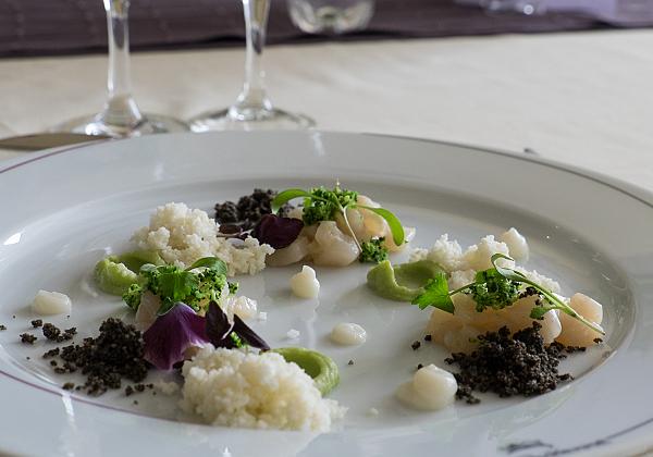 Tartare_st_Jacques